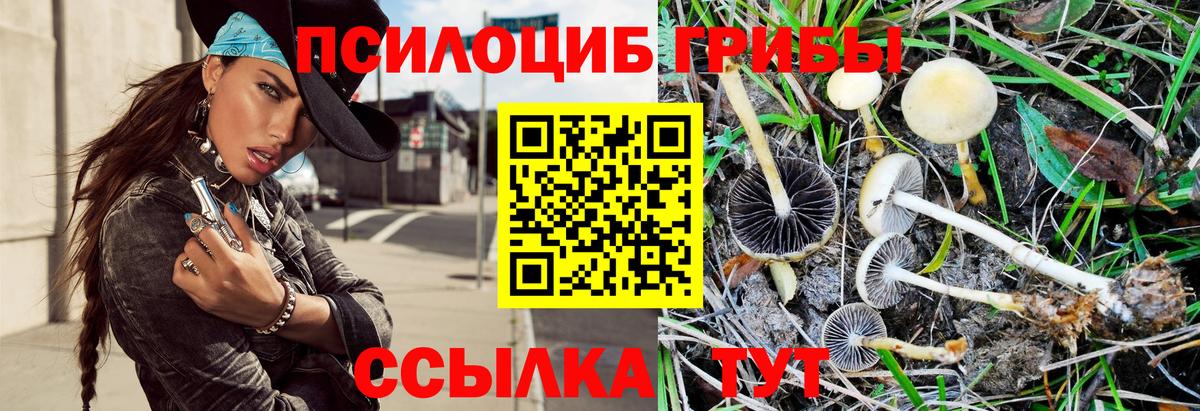 Галлюциногенные грибы Cubensis Среднеуральск