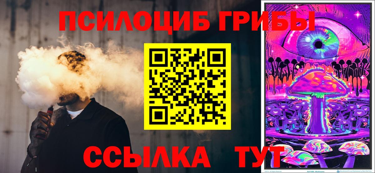 Среднеуральск  Псилоцибиновые грибы Psilocybe  наркошоп  Вход с VPN 